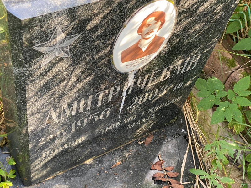 М Дмитричев В