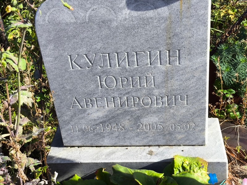 Кулигин