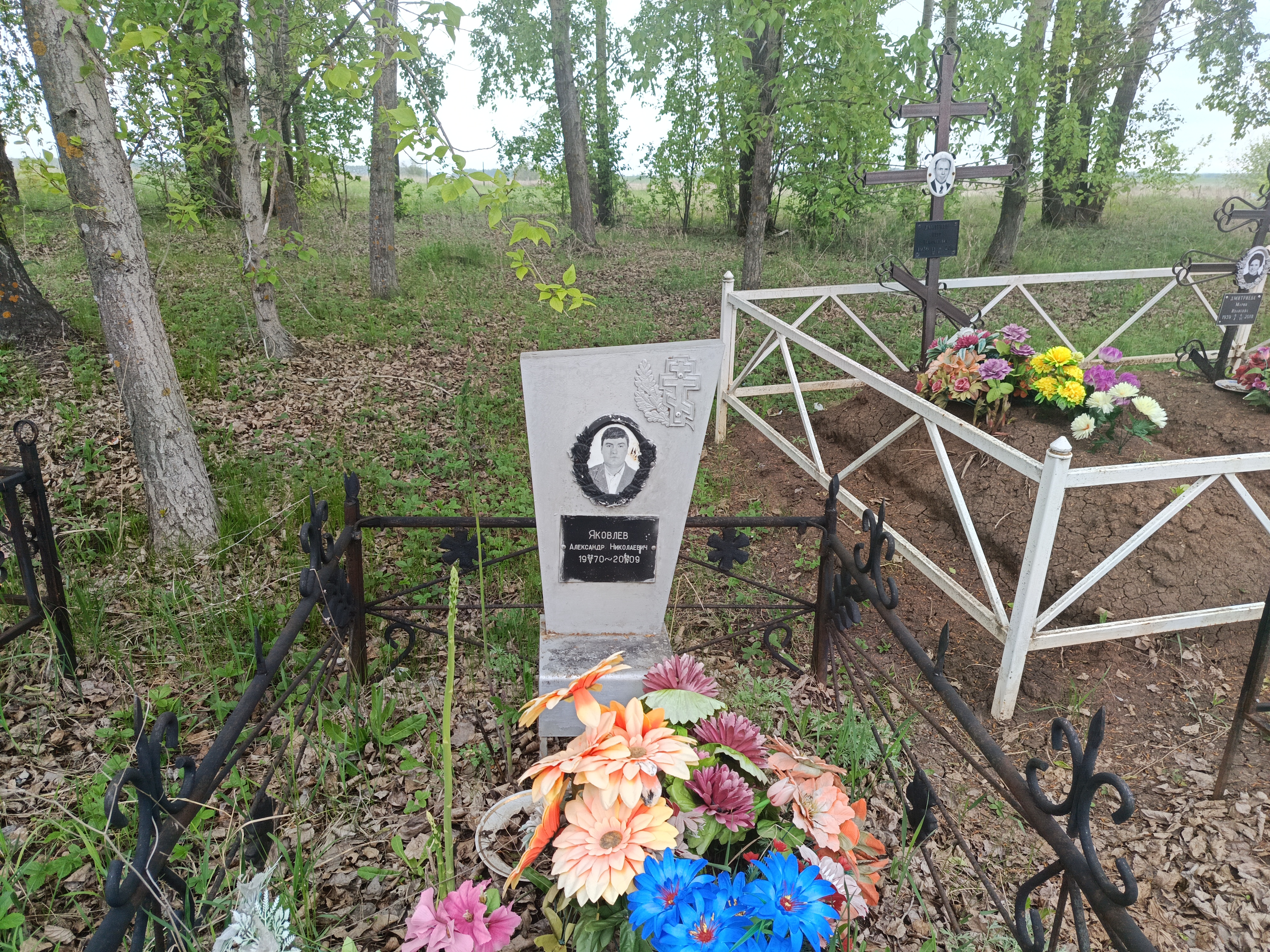 Яковлев Александр Николаевич