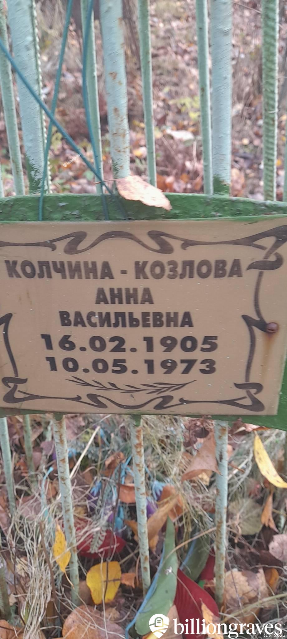 Колчина Анна Васильевна
