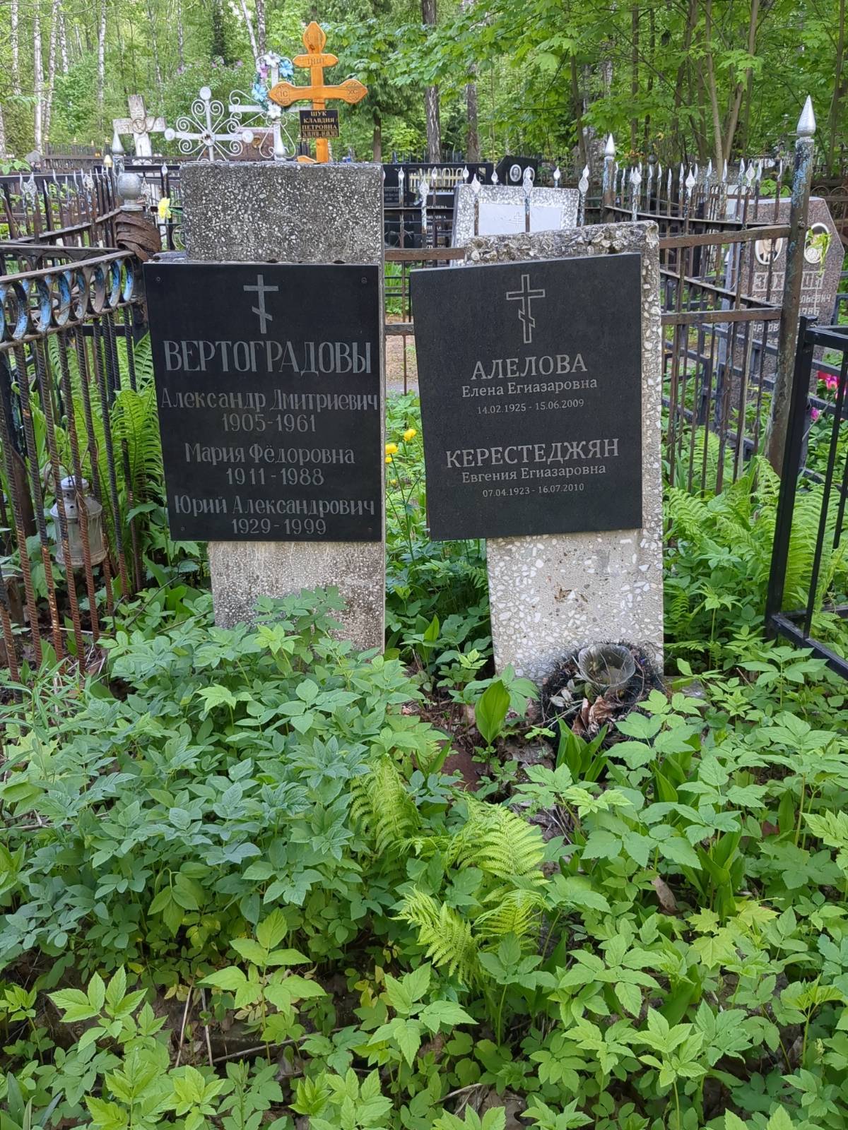 Алелова Елена Егиазаровна