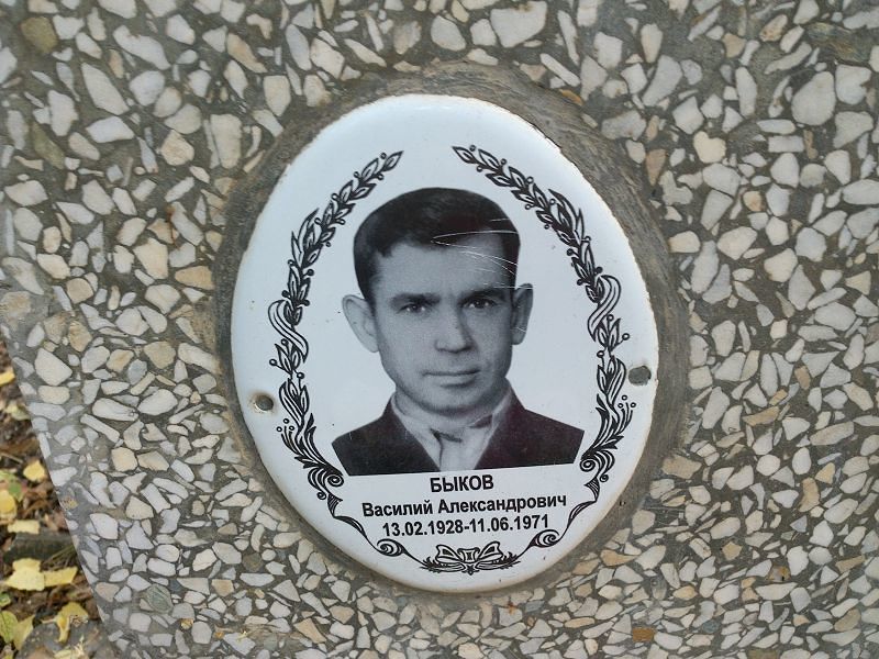 Быков
