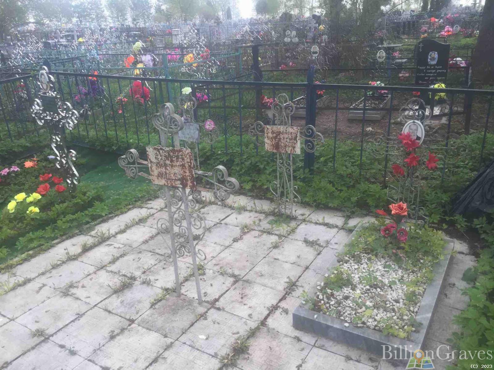 Королева Анна Владимировна