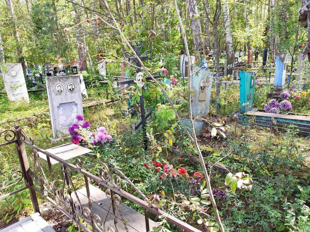 Алексеев Андрей Петрович