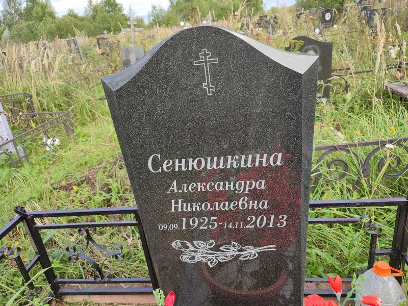 Сенюшкина Александра Николаевна