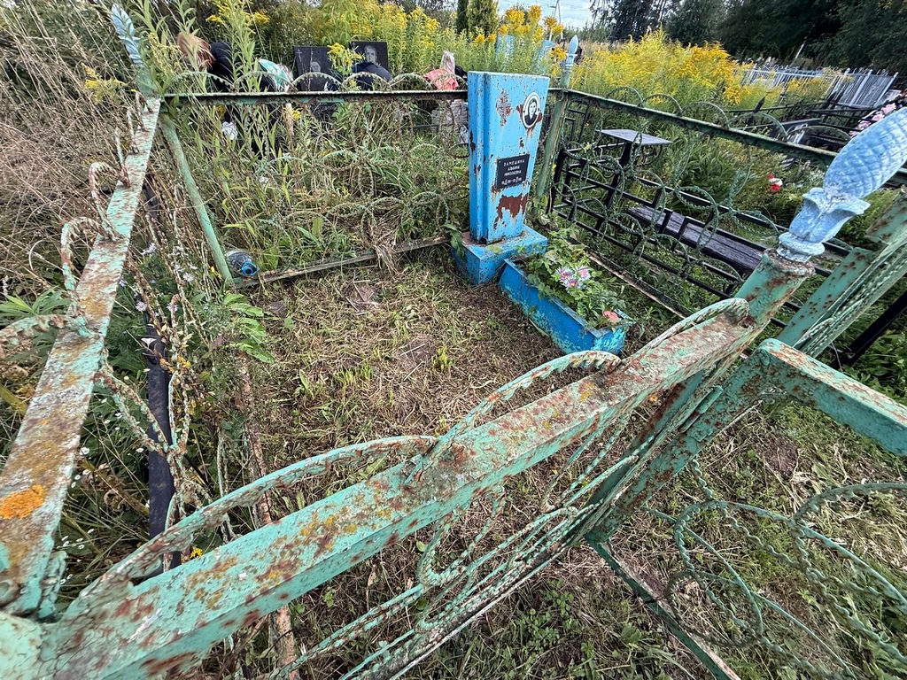 Замешина Альбина Николаевна