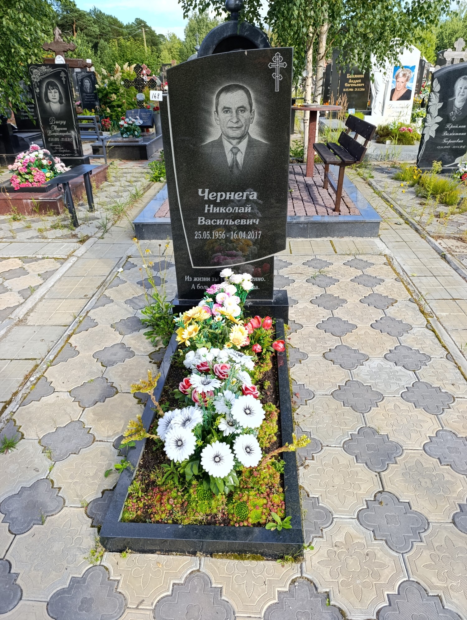 Чернега Николай Васильевич