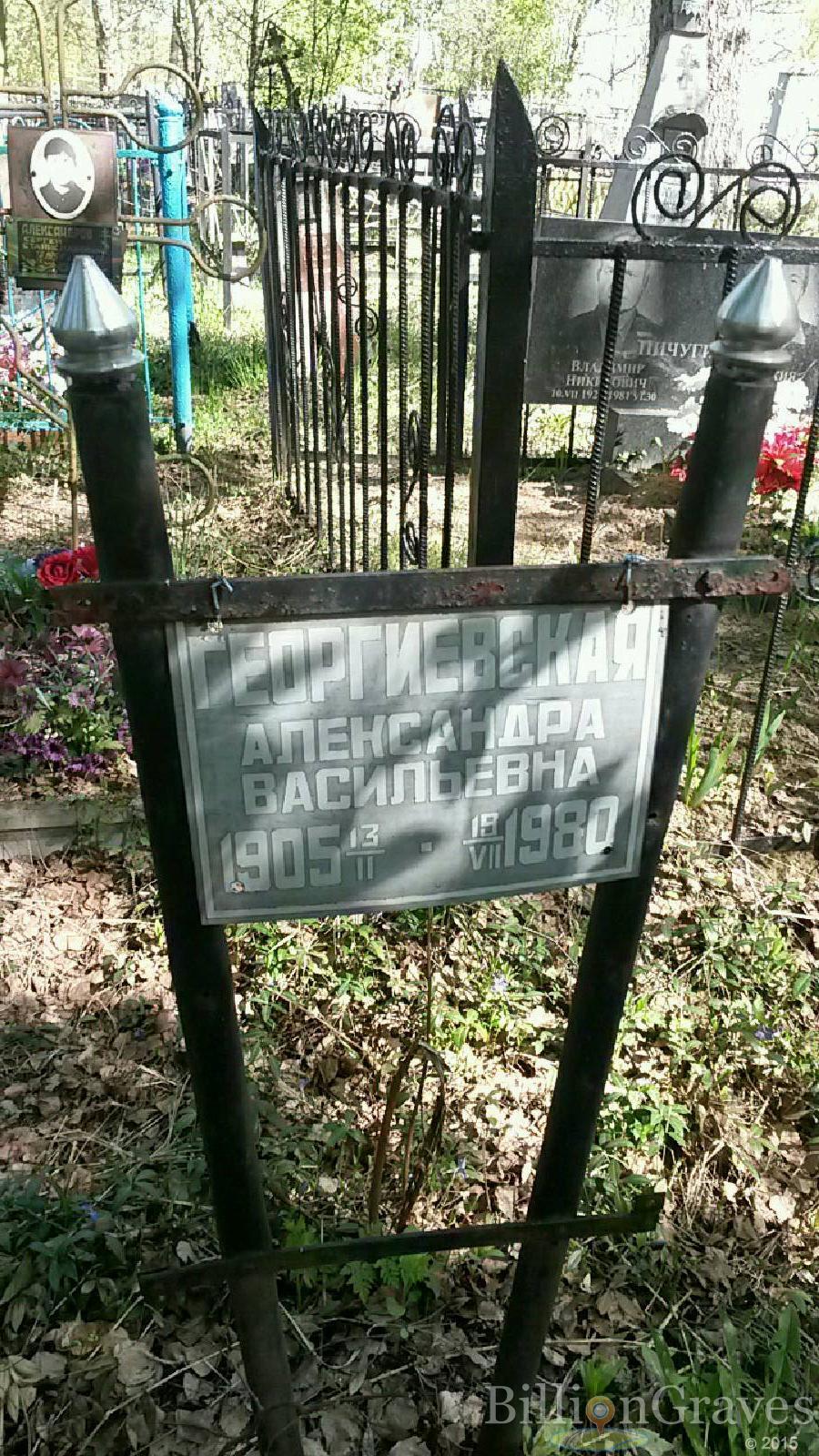 Георгиевская Александра Васильевна