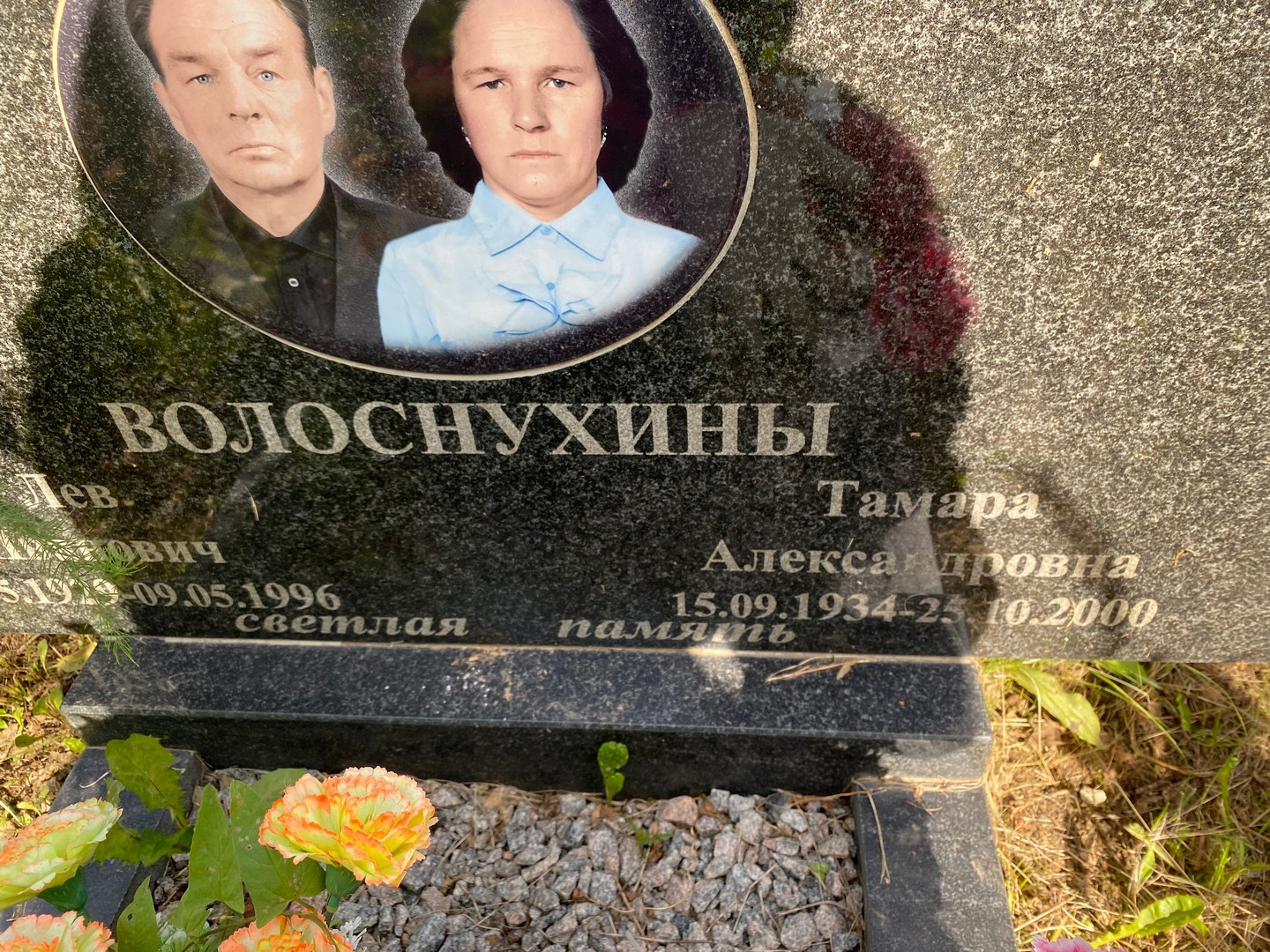 Волоснухина