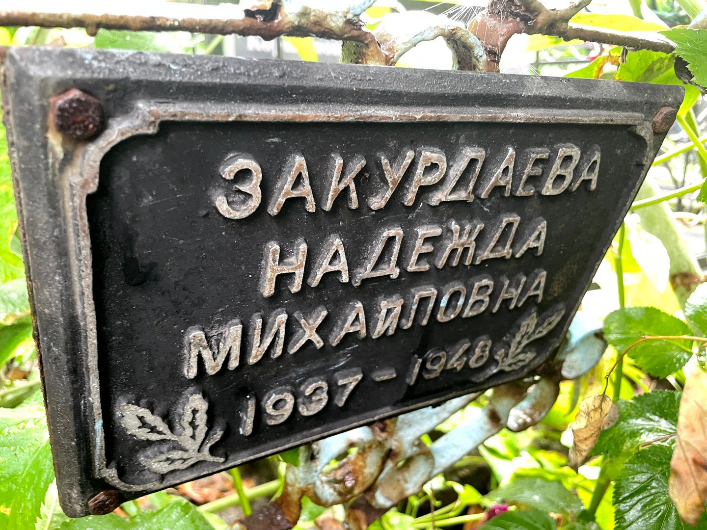 Закурдаева