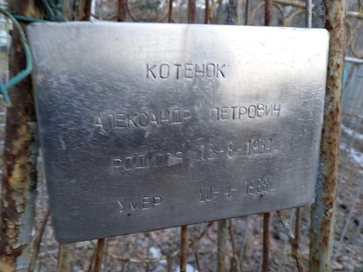 Котенок Александр Петрович