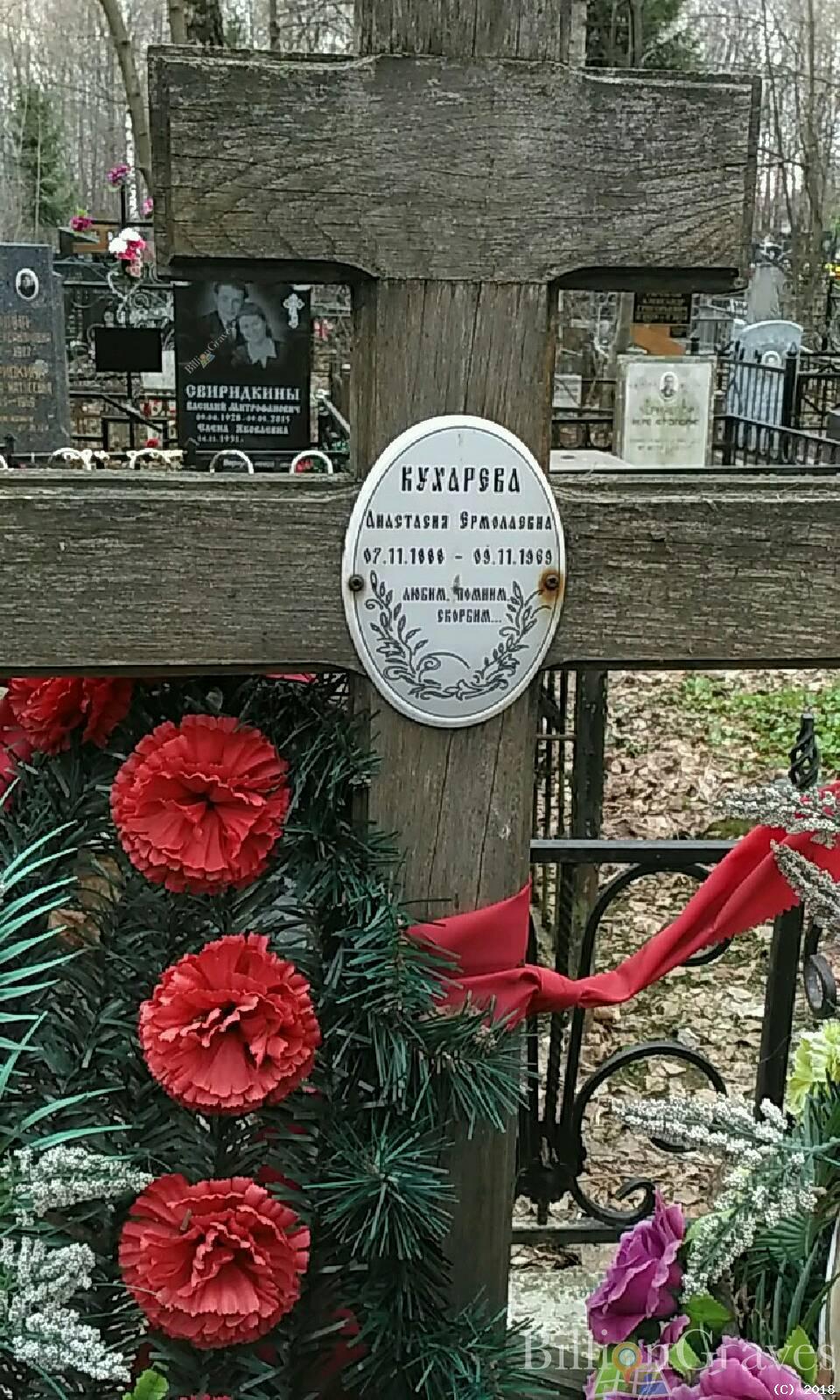 Кухарева Анастасия Ермолаева