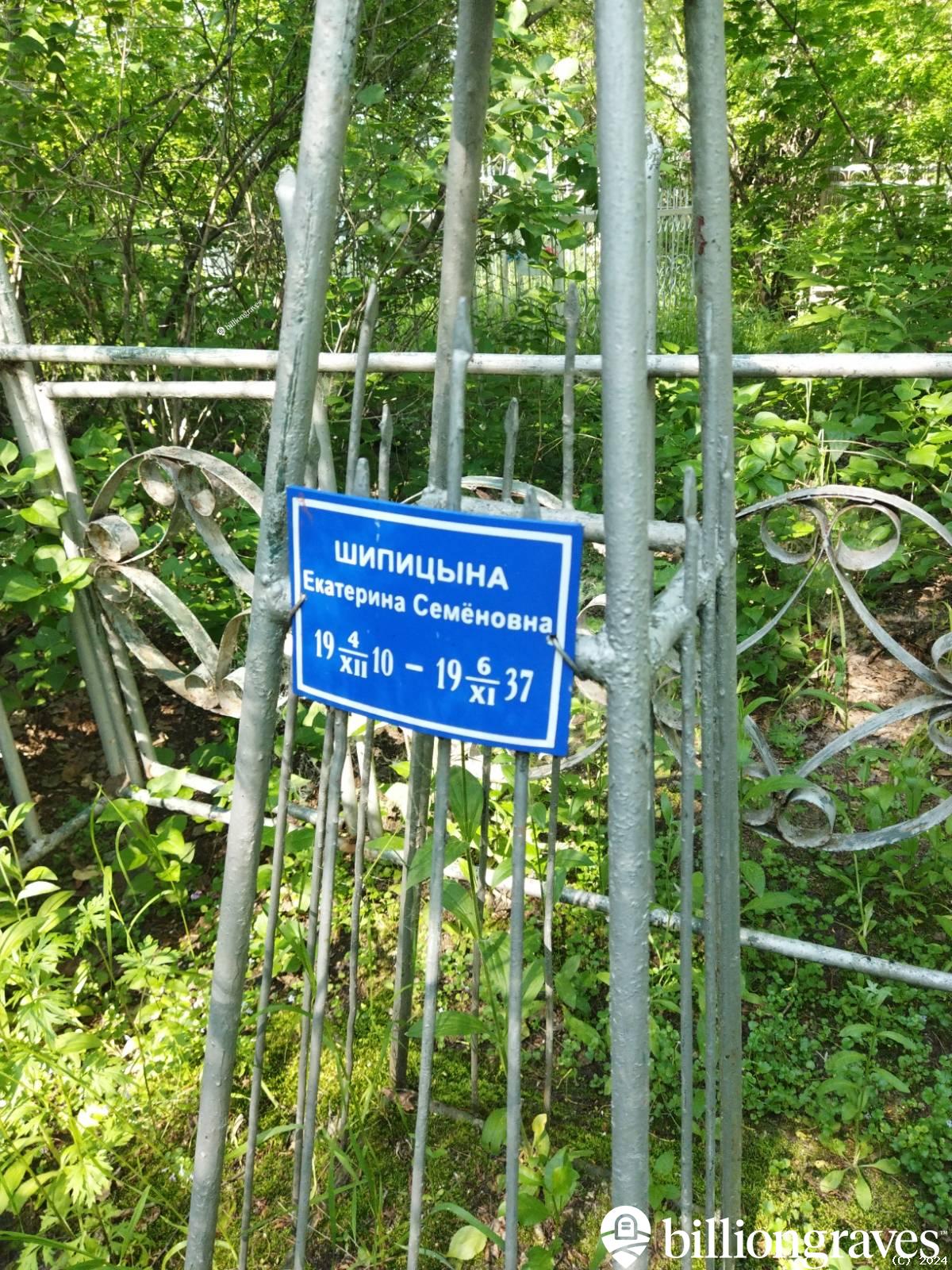 Шипицына Екатерина Семëновна