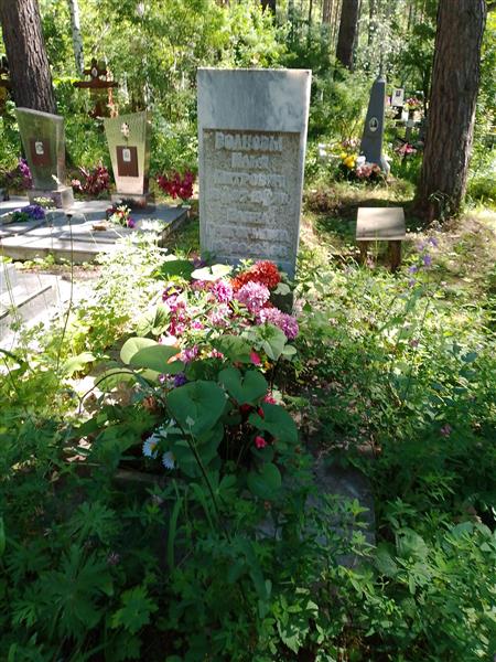 Волков Илья Петрович