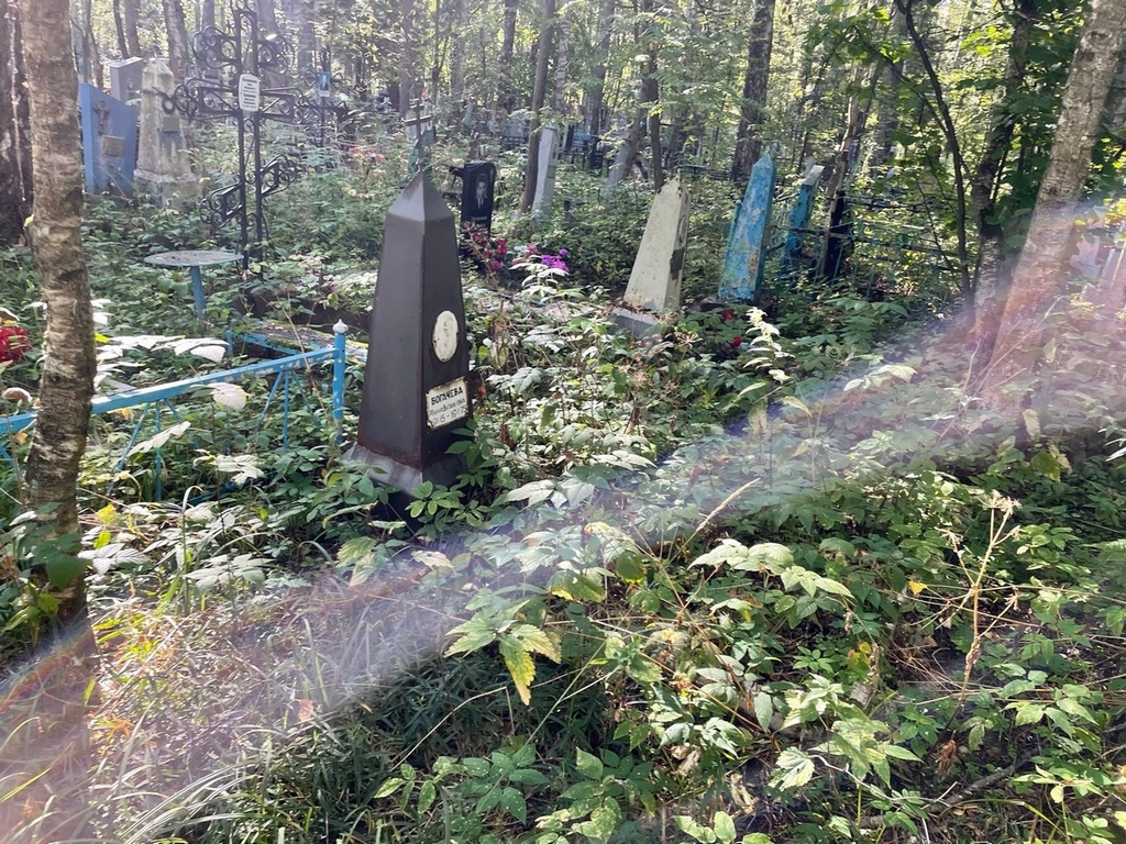 Богачева Мария Васильевна