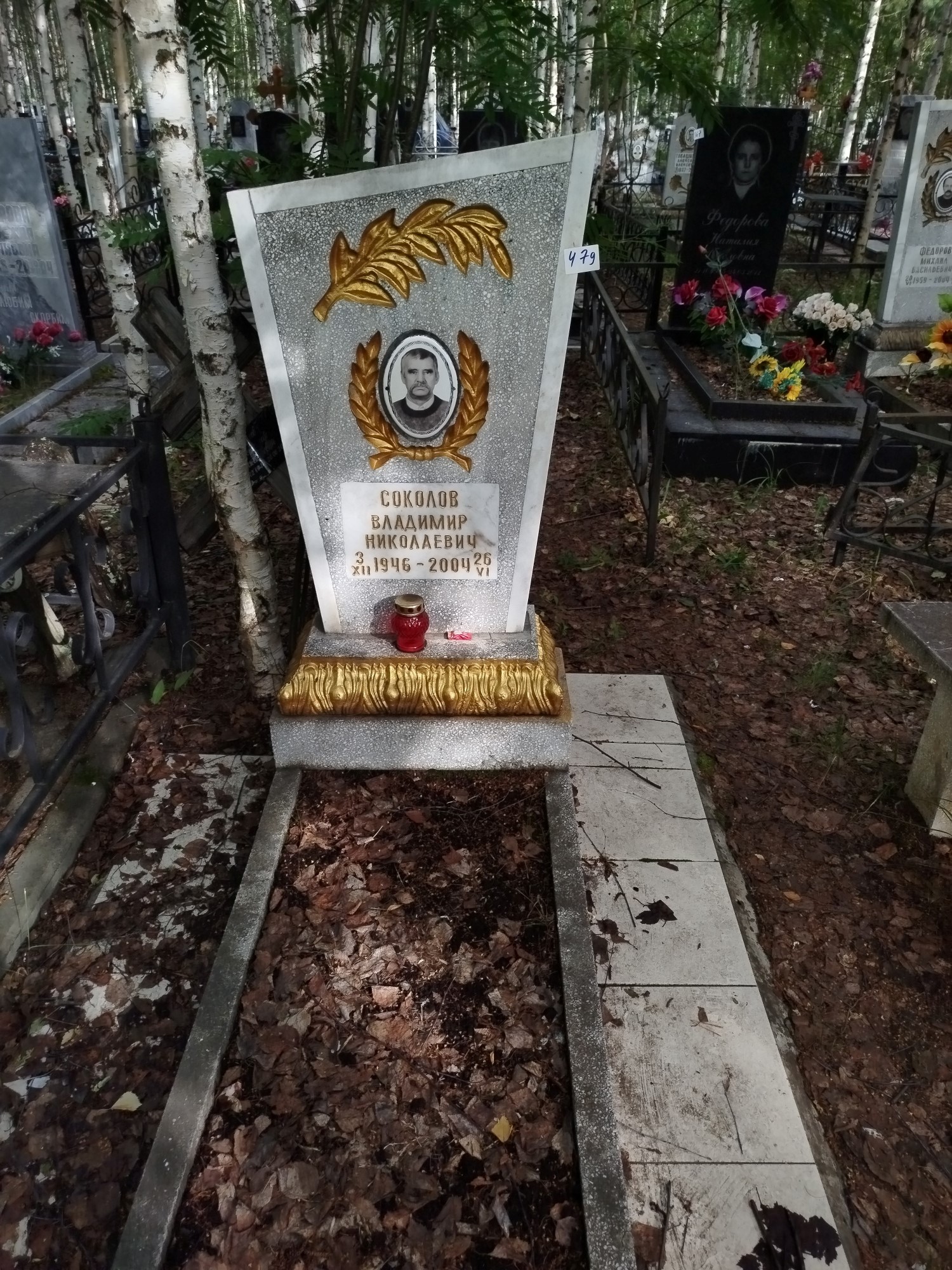 Соколов Владимир Николаевич