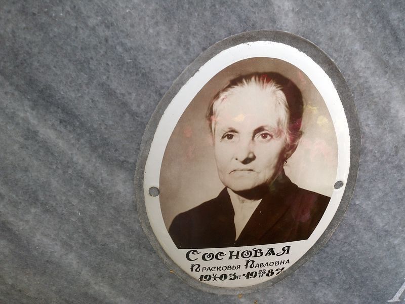 Прасковья Сосновая Павловна