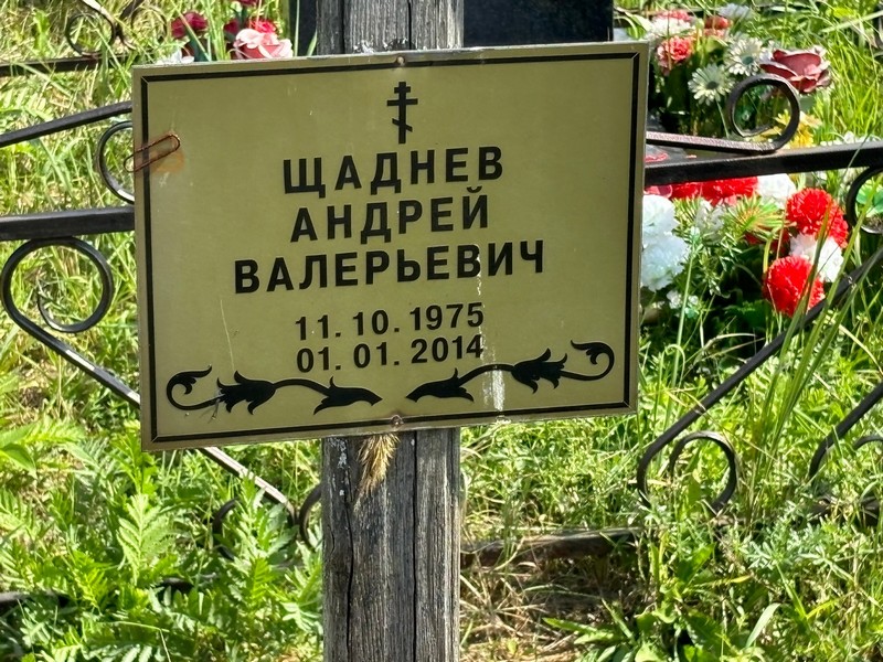 Щаднев