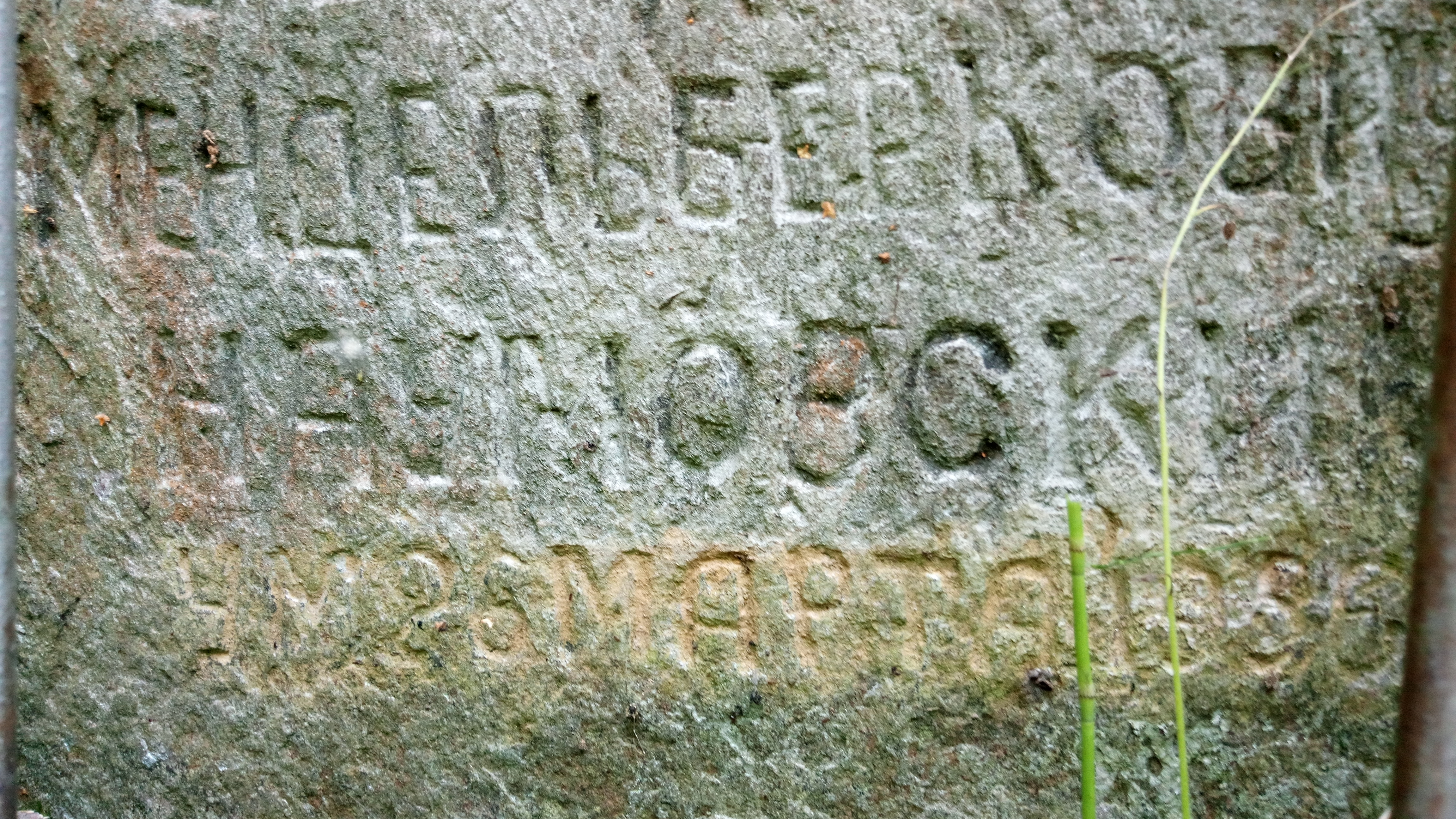 Наумовский Мендель Беркович