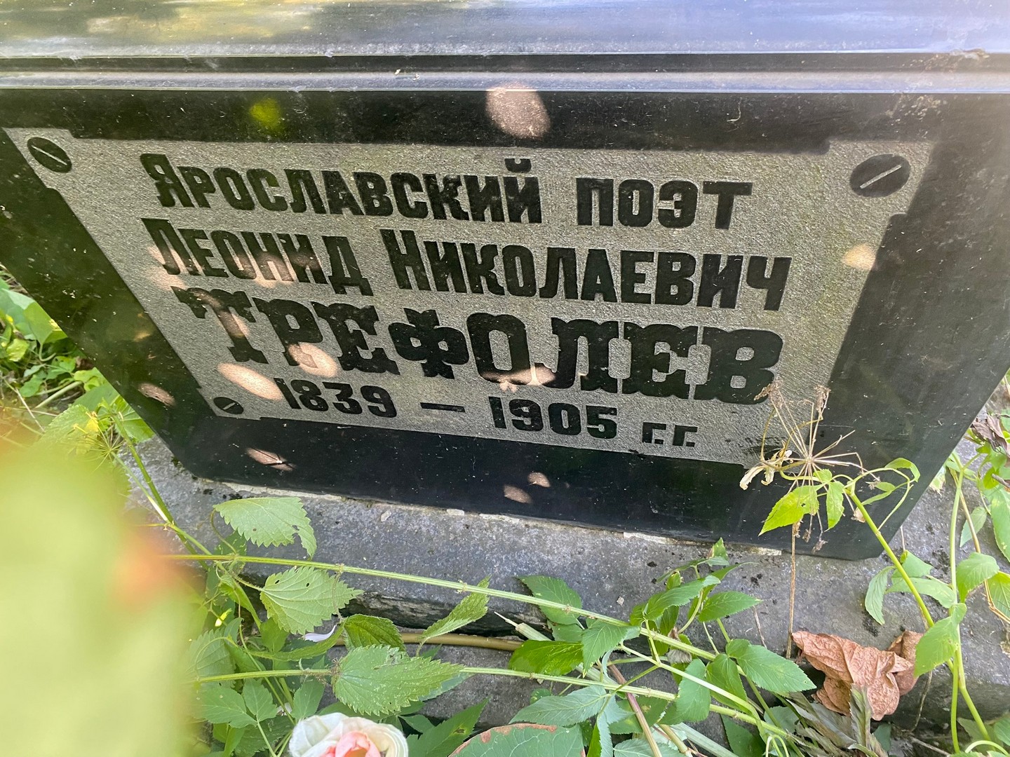 Трефолев
