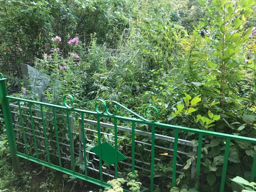 Серова Таисья Дмитриевна