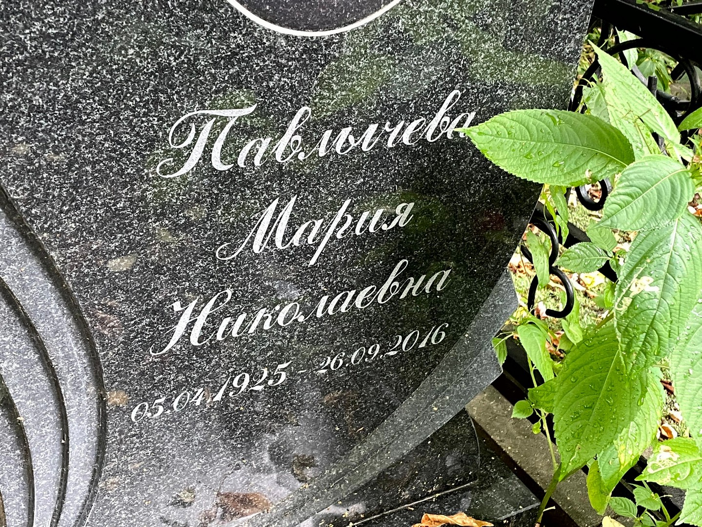 Павлычева
