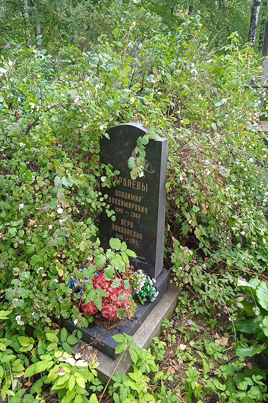 Королев Владимир Владимирович
