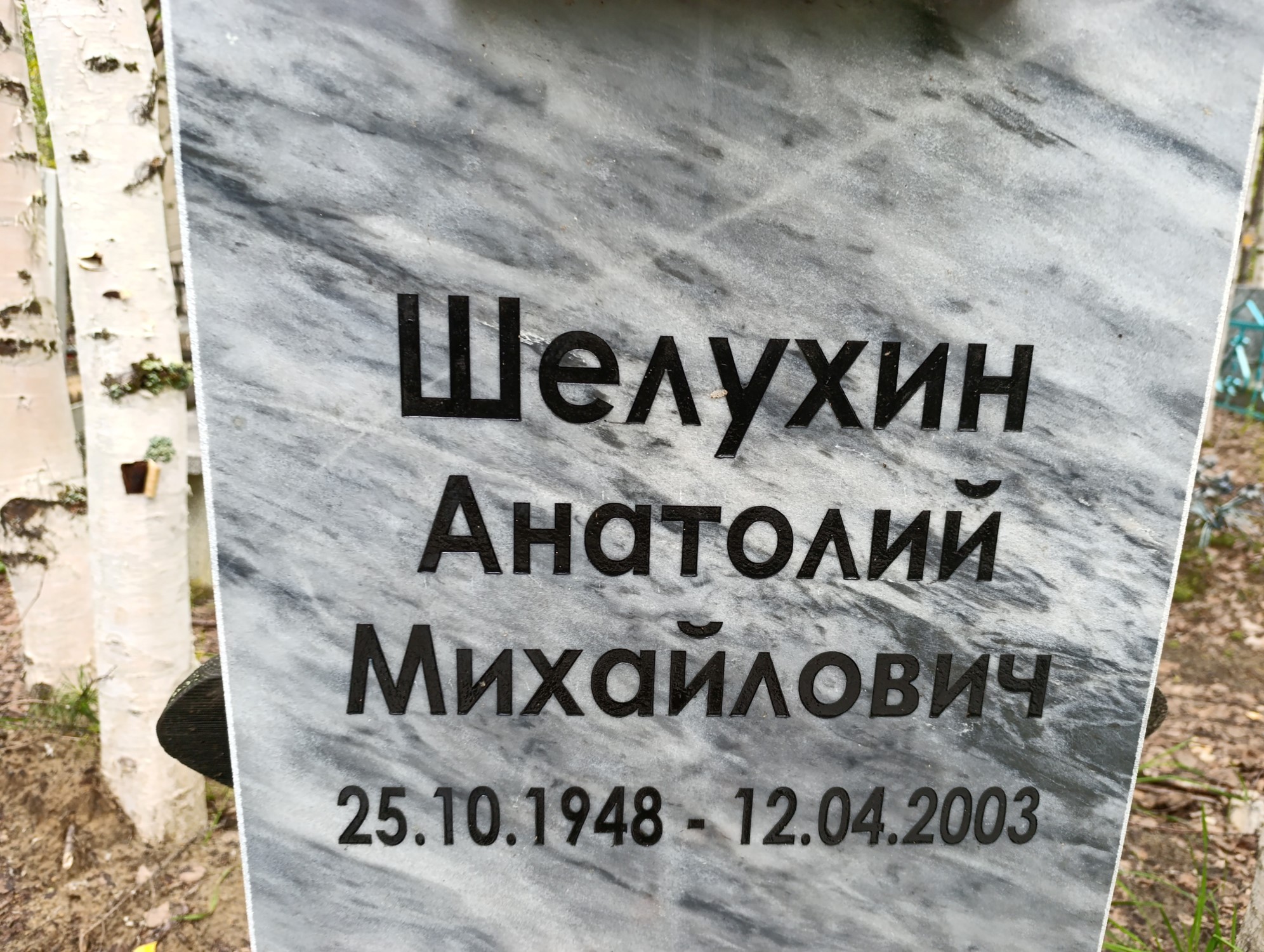Шелухин Анатолий Михайлович
