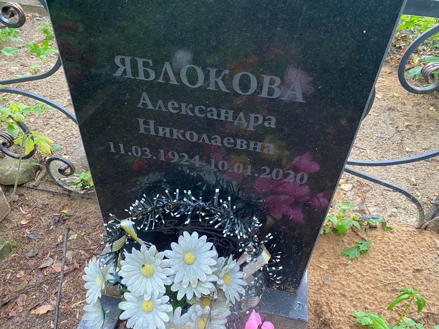 Яблокова Александра Николаевна