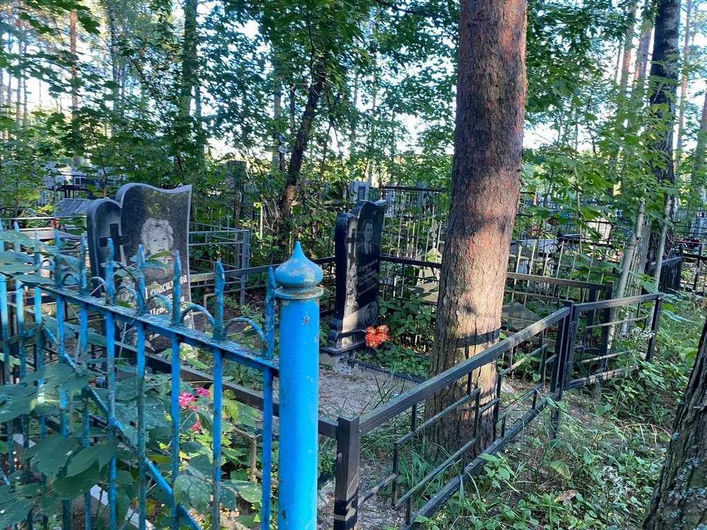 Герасимов Лев Сергеевич