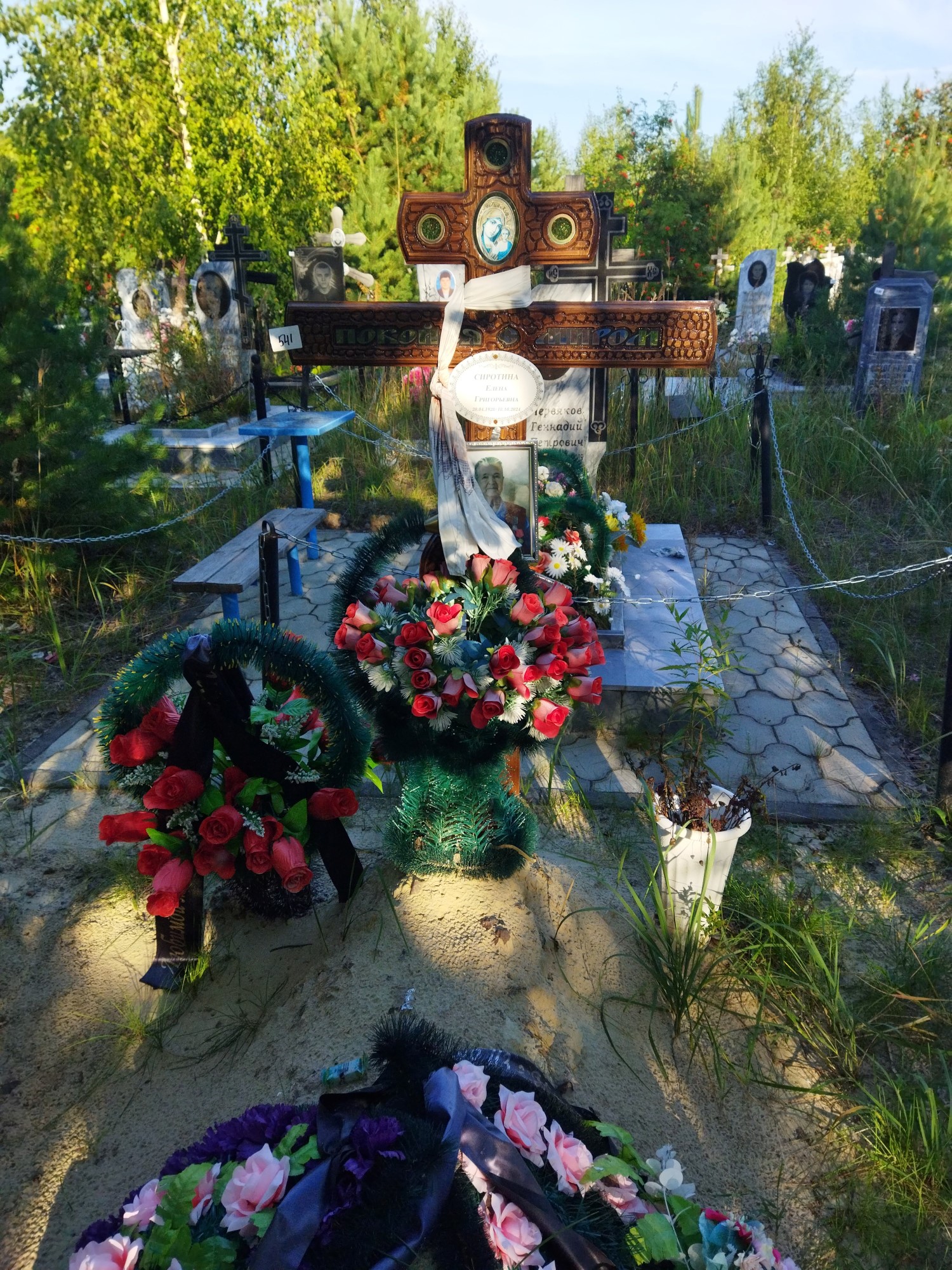 Сиротина Елена Григорьевна
