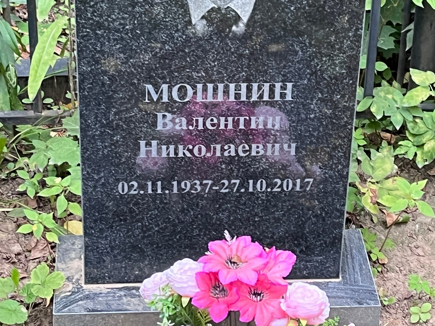 Мошнин