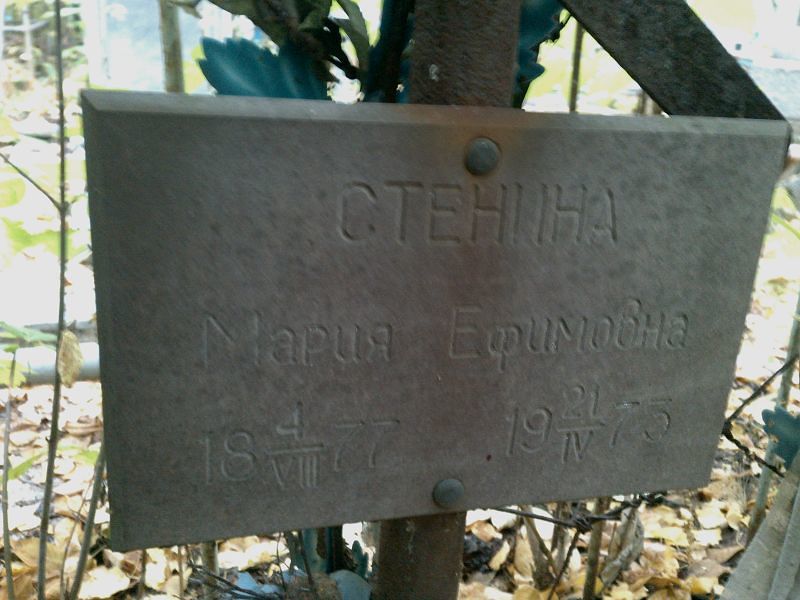 Стенина