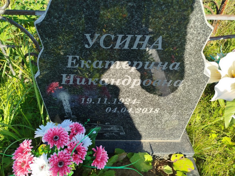 Усина