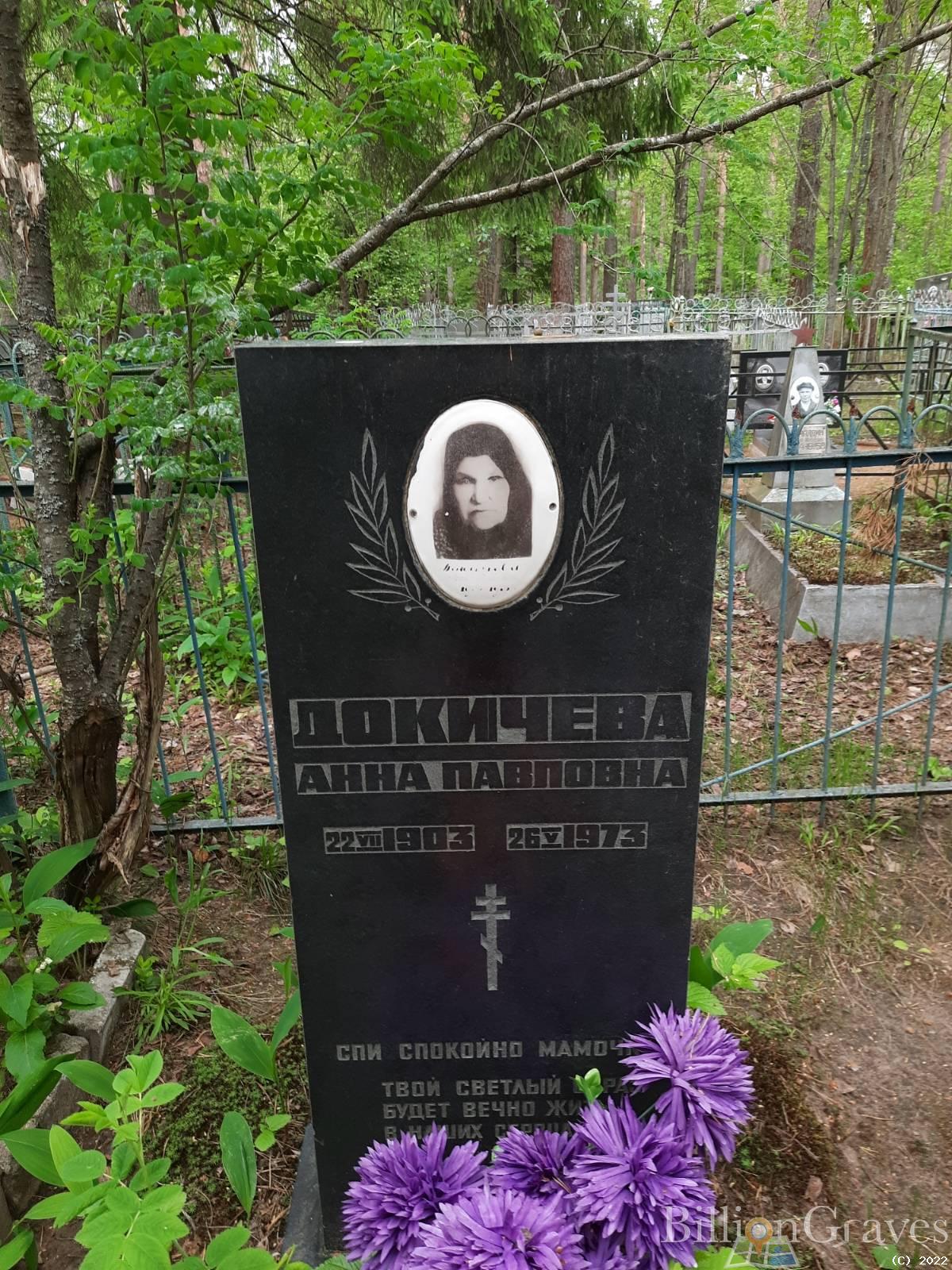 Докичева Анна Павловна