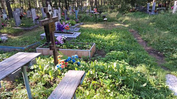Токманцев Виктор Демьянович