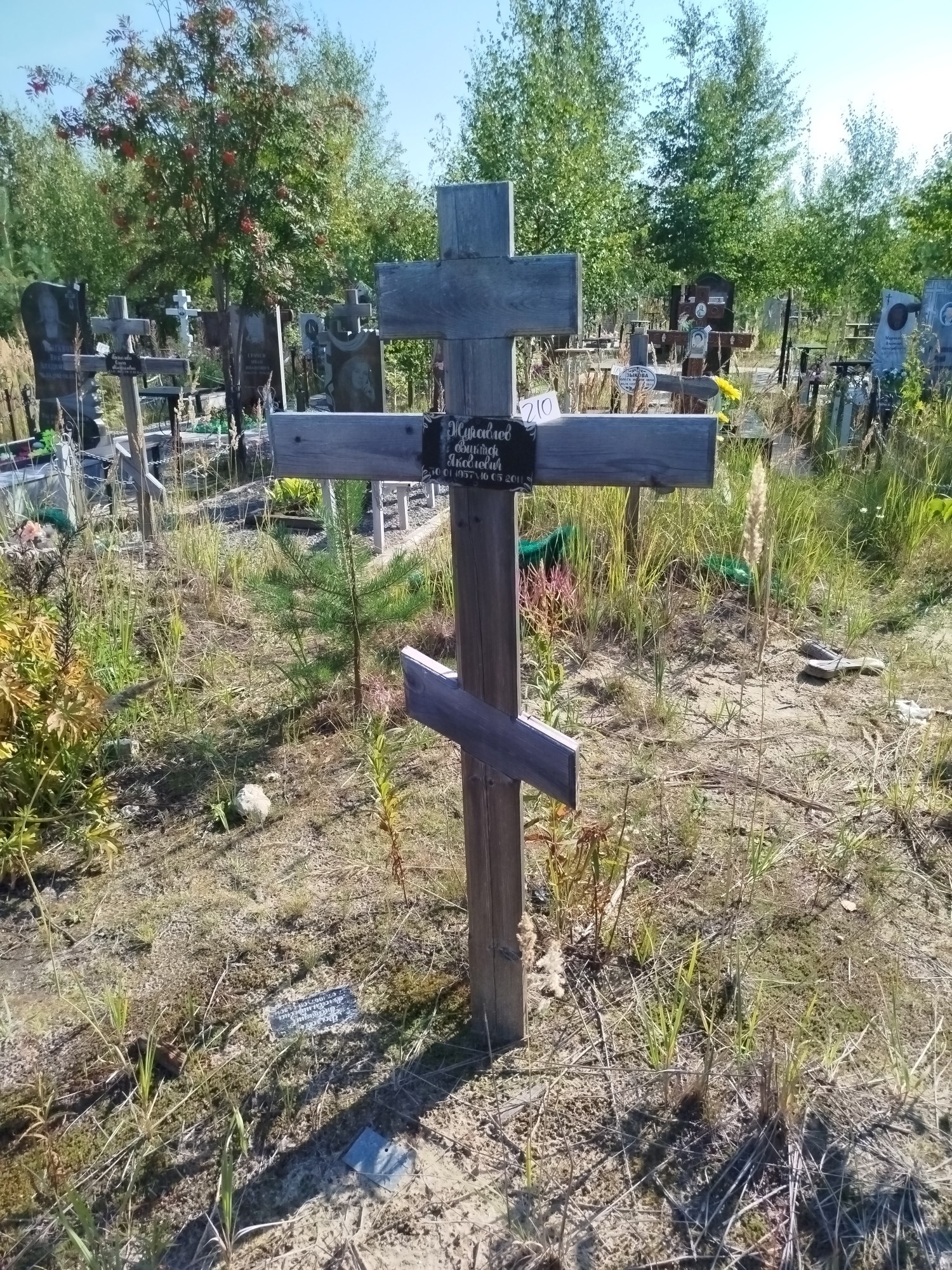 Журавлев Виктор Яковлевич