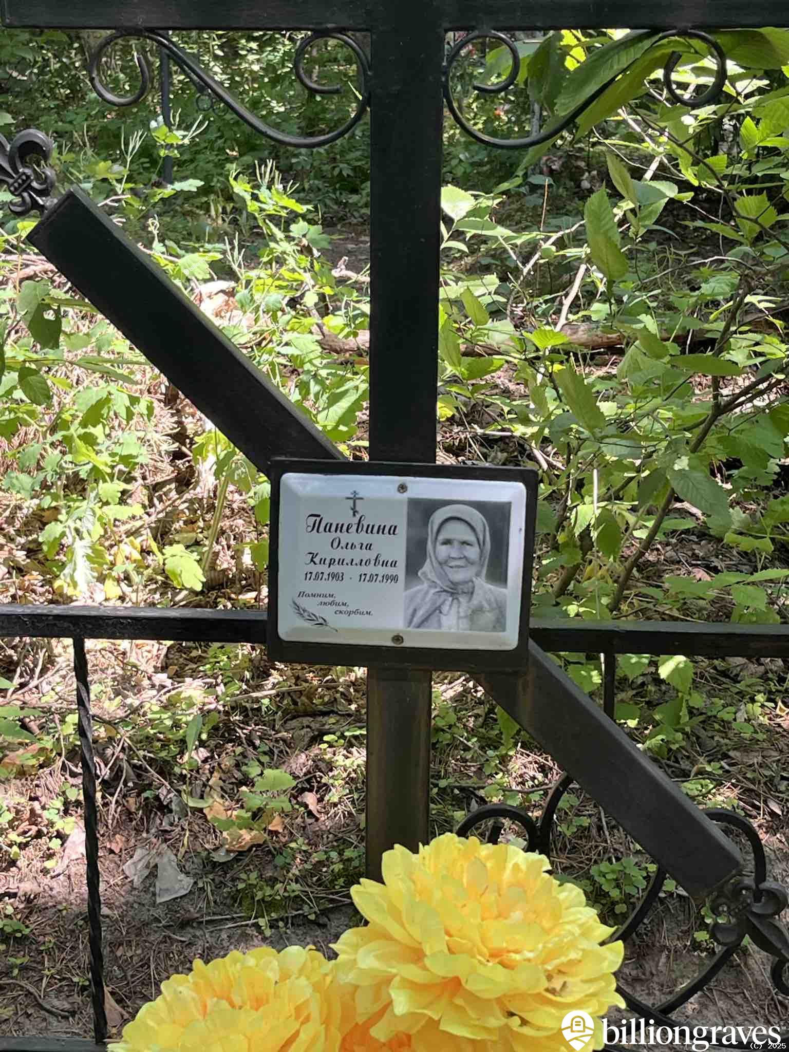 Паневина Ольга Кирилловна