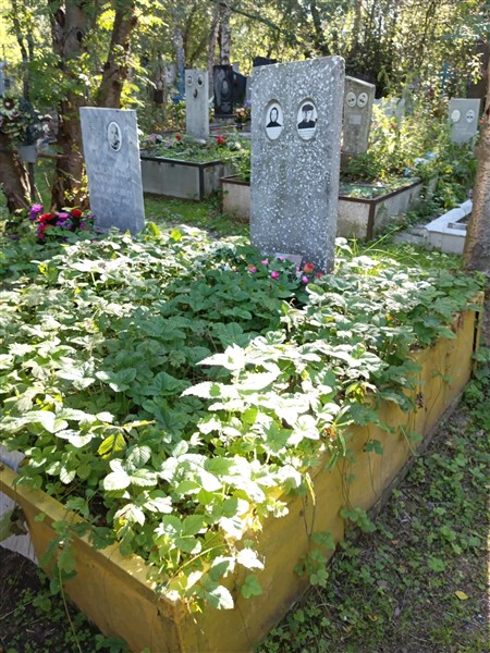 Масленникова Анастасия Михайловна
