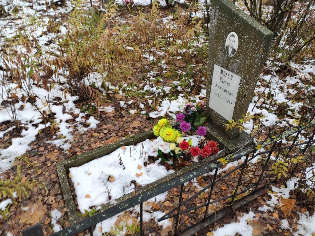 Молев Виктор Дмитриевич