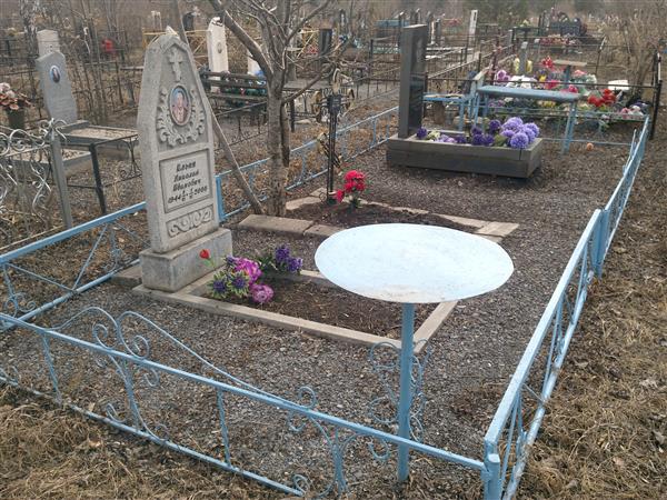Ильина Анисья Дмитриевна