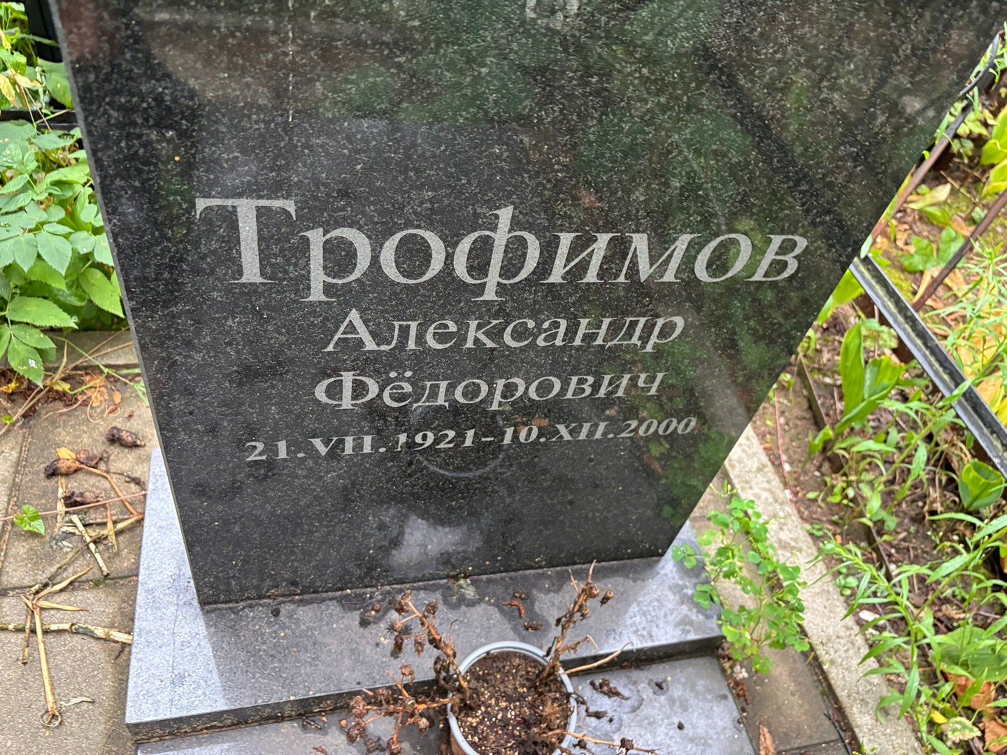 Трофимов