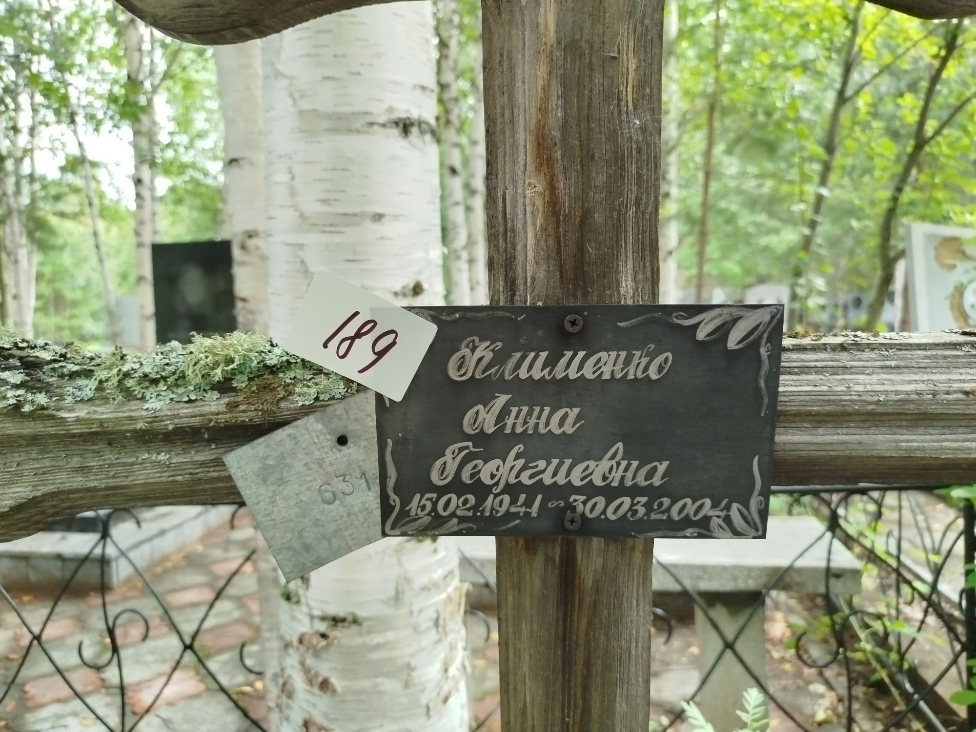 Клименко Анна Георгиевна