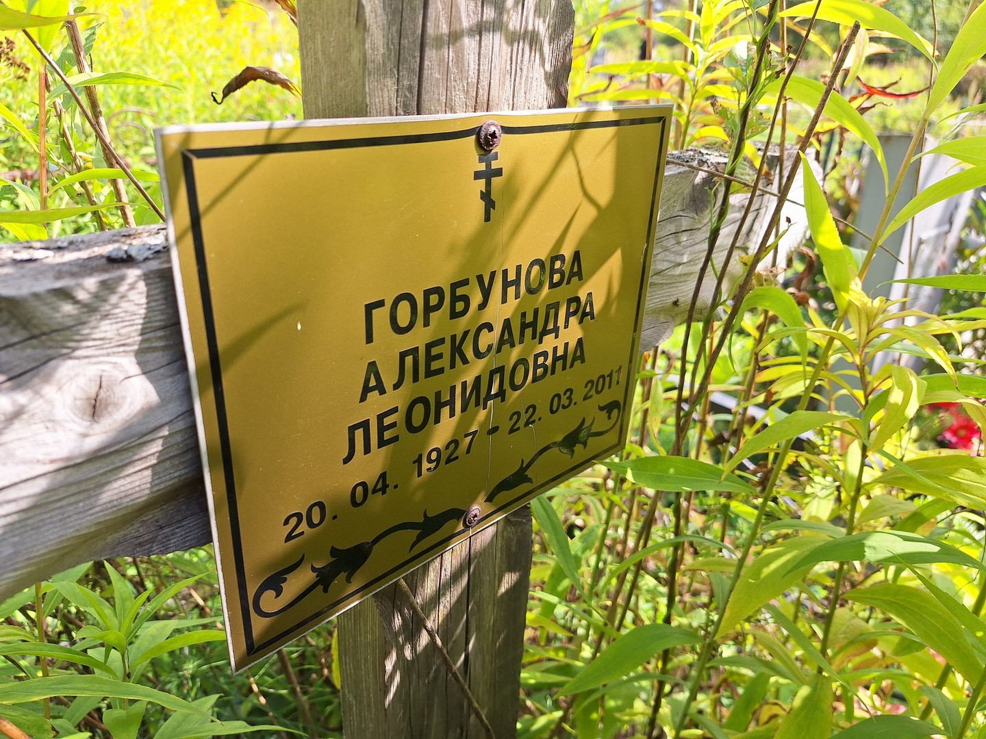 Горбунова Александра Леонидовна