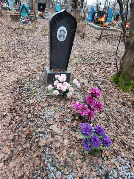 Головкин Николай Петрович