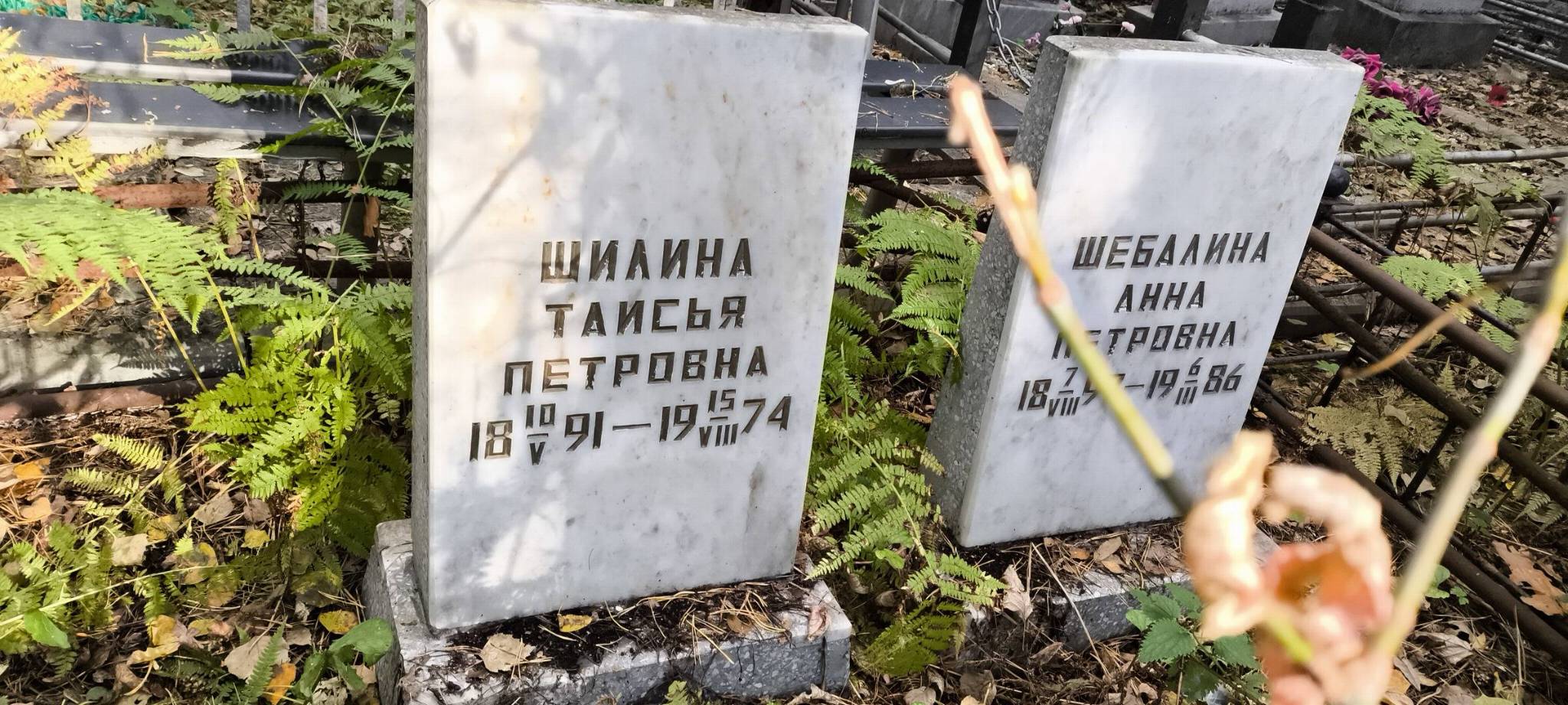 Шебалина Анна Петровна