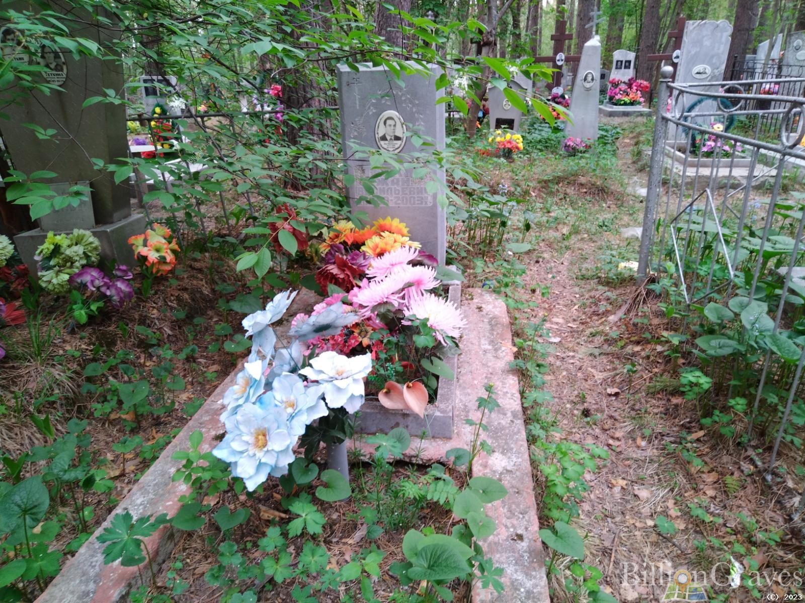 Тёткина Александра Николаевна