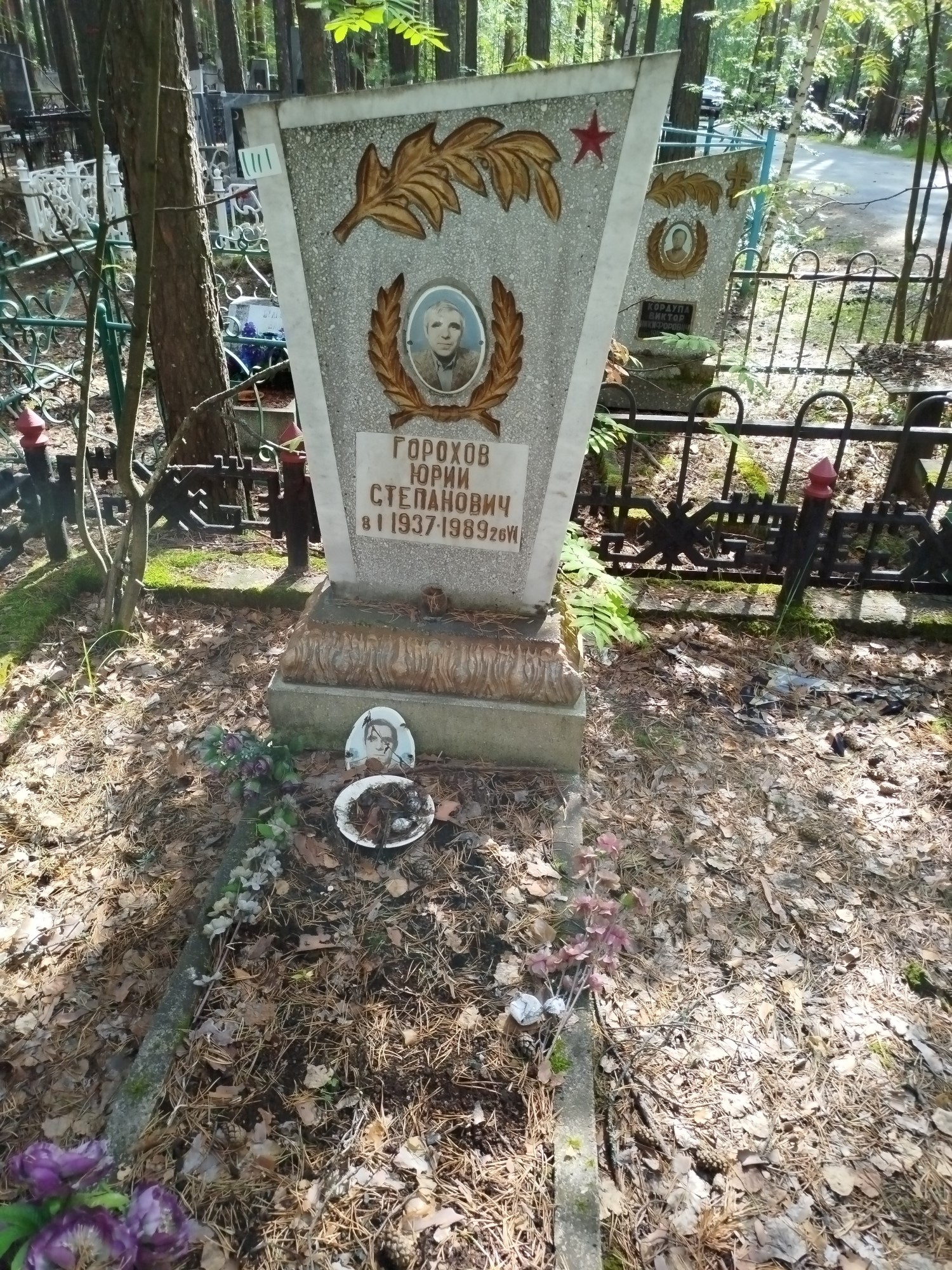 Горохов Юрий Степанович