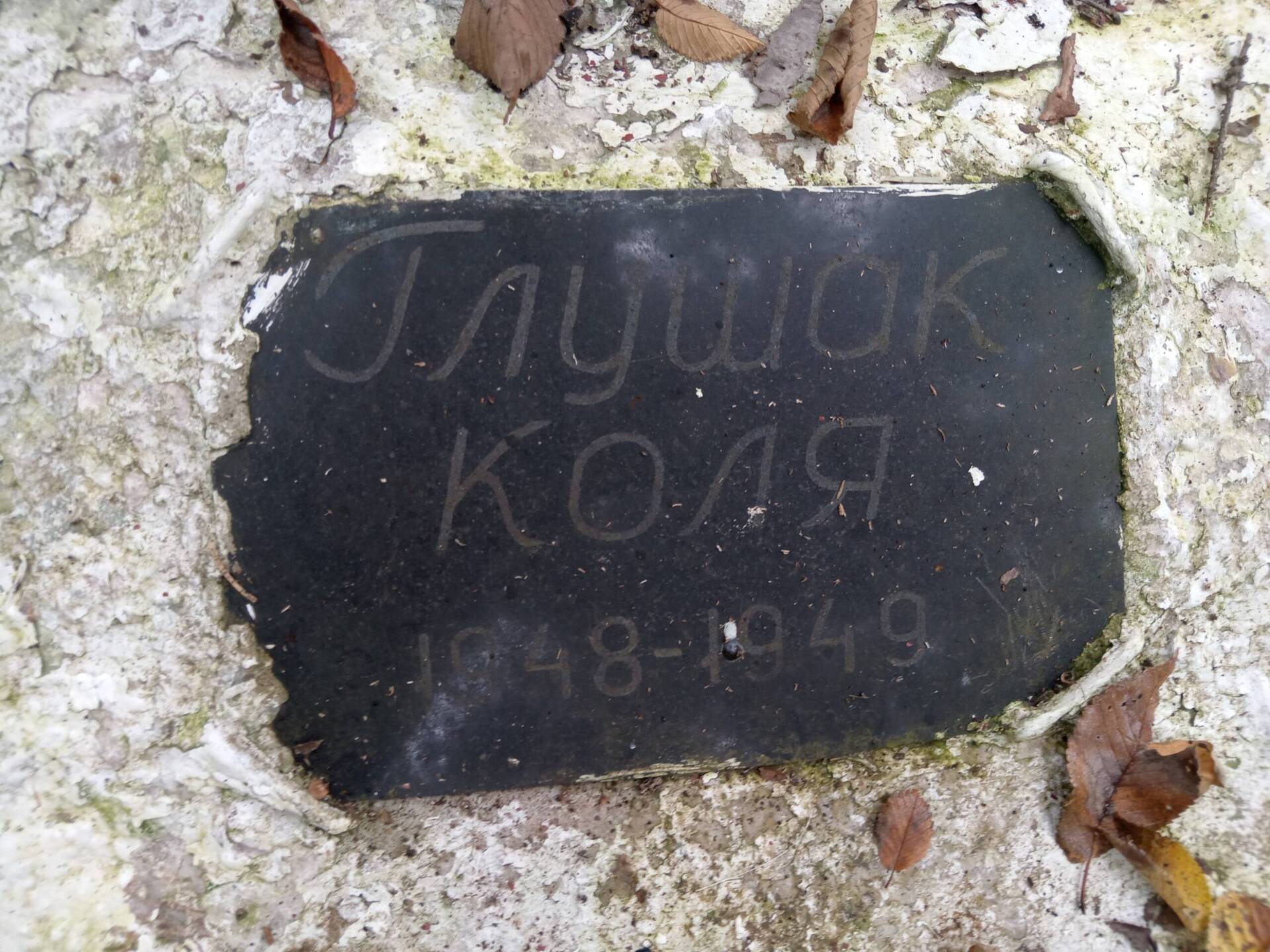 Глушак Коля