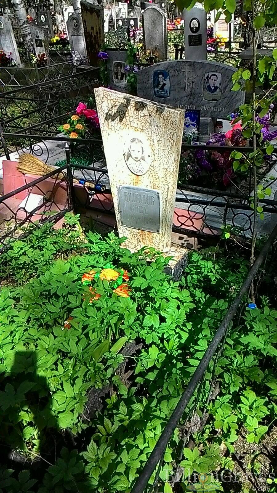Бухвалов Владимир